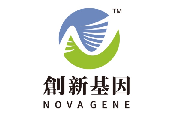 磐石分部 创新基因诊断实验室